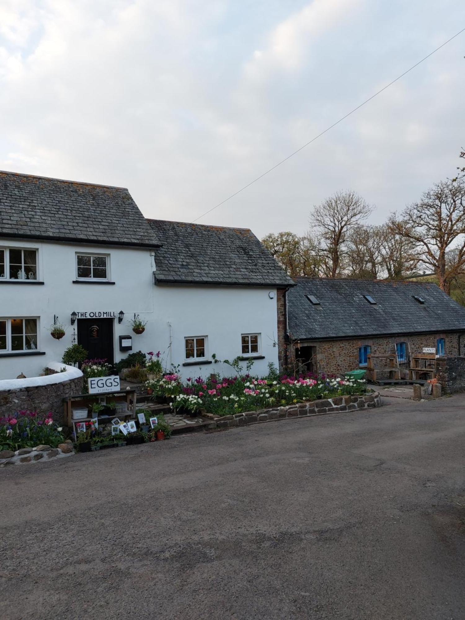 The Millers Cottage Okehampton Exterior foto